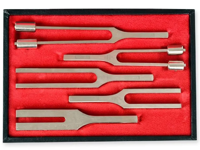 gima-31240-set-diapason-in-lega-per-otorinolaringoiatria-5-pezzi image 1