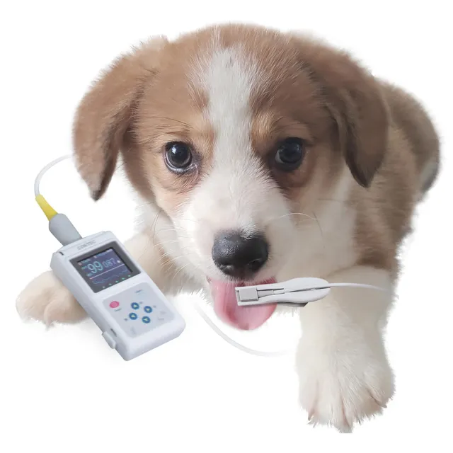 gima-oxy-50-pulsossimetro-veterinario-con-software-per-pc image 1