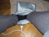 Salva inverno
