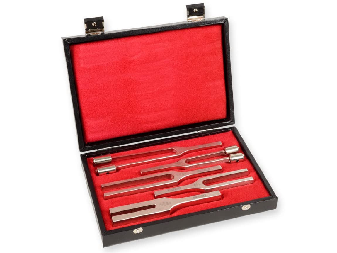 gima-31240-set-diapason-in-lega-per-otorinolaringoiatria-5-pezzi image 2
