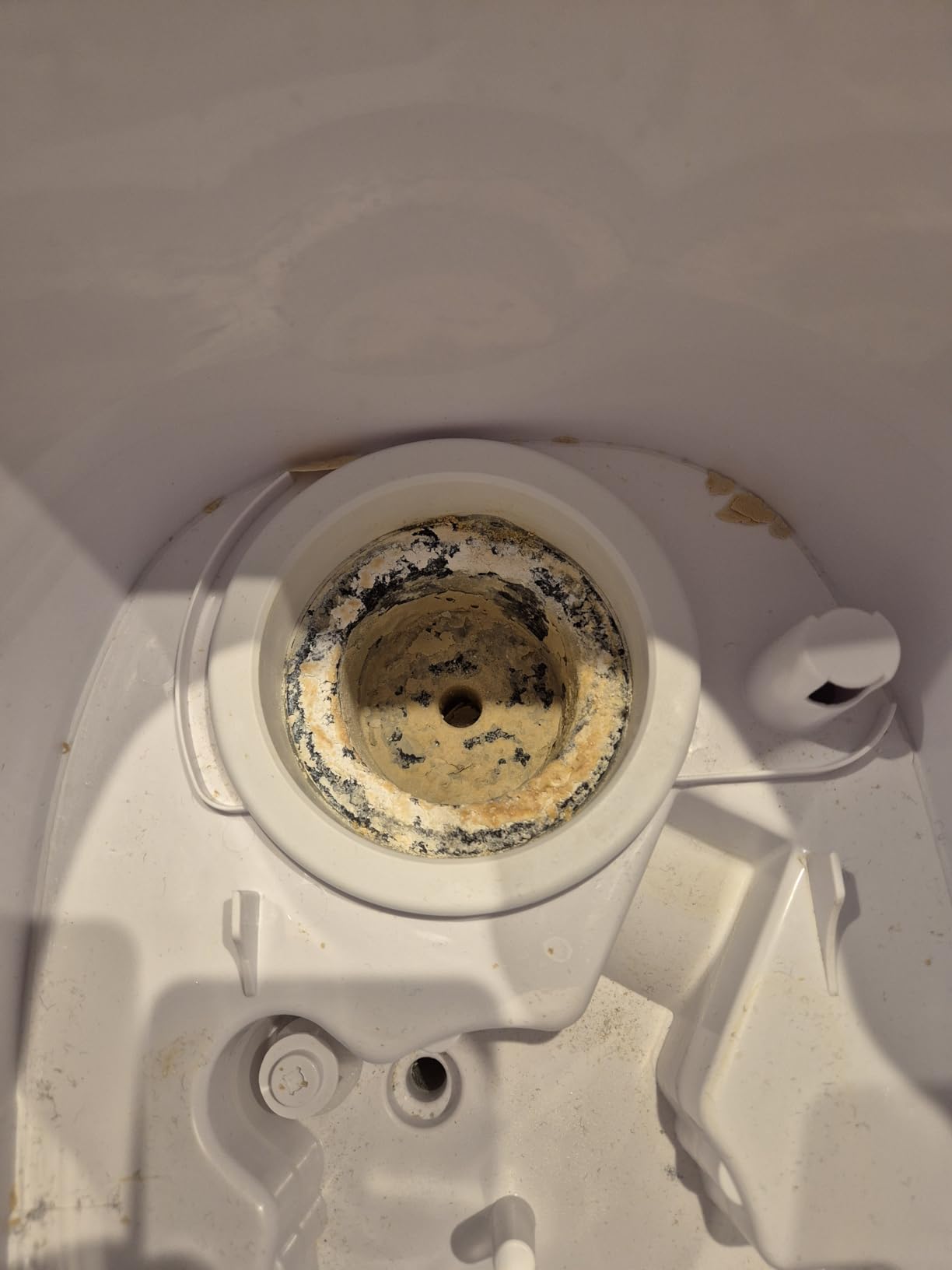 Buono, ma un po' rumoroso