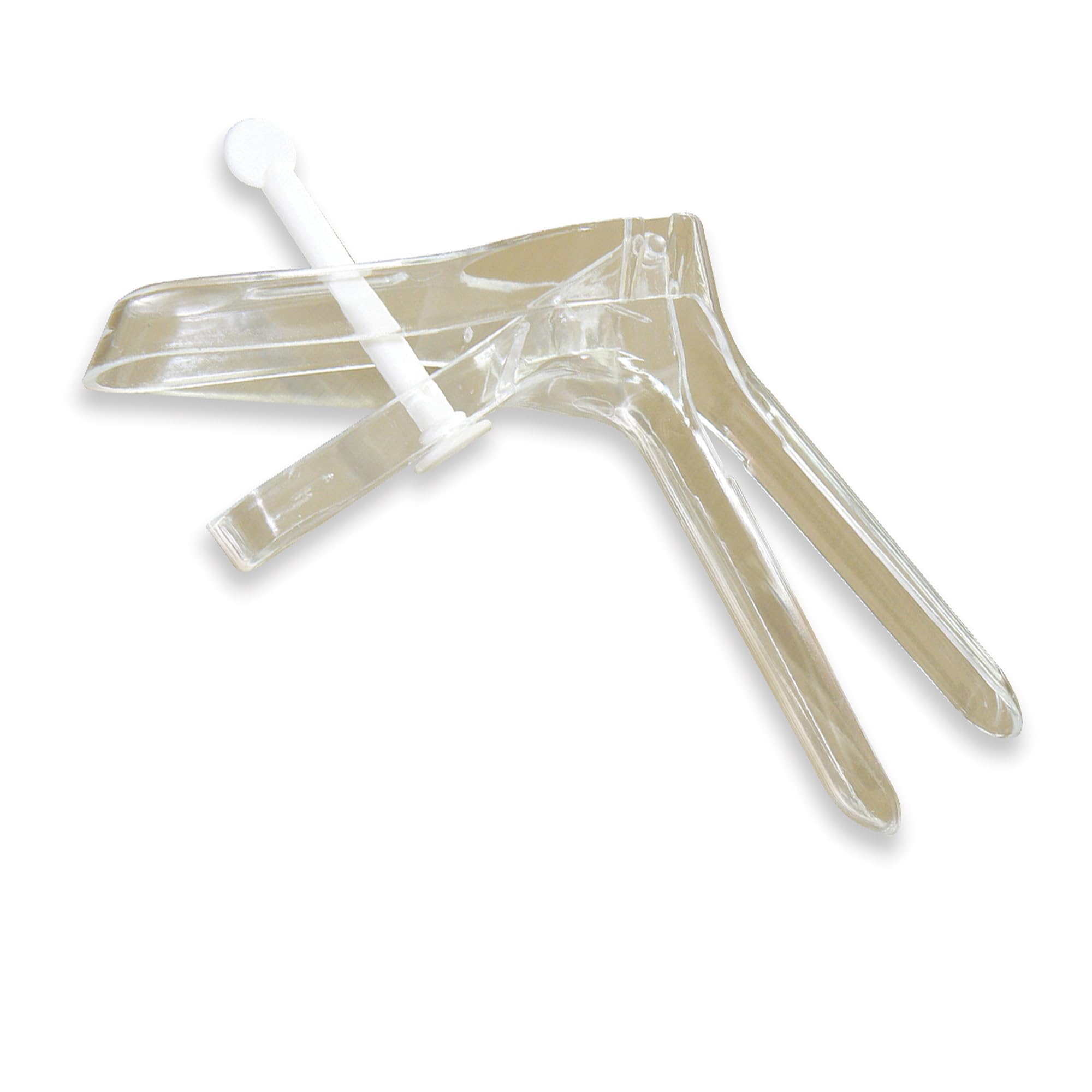 gima-29946-speculum-perno-sterile-piccolo-20-mm-confezione-1-pezzo image 2