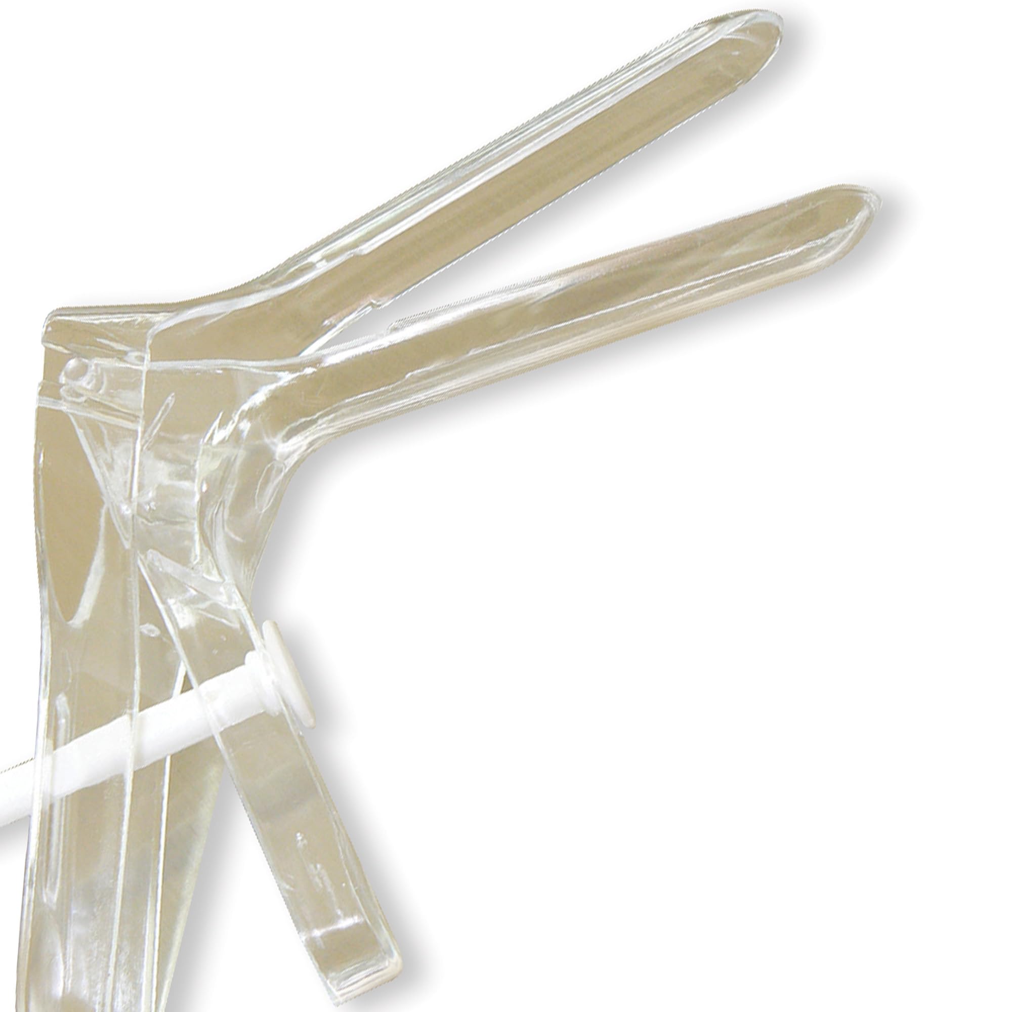 gima-29946-speculum-perno-sterile-piccolo-20-mm-confezione-1-pezzo image 7