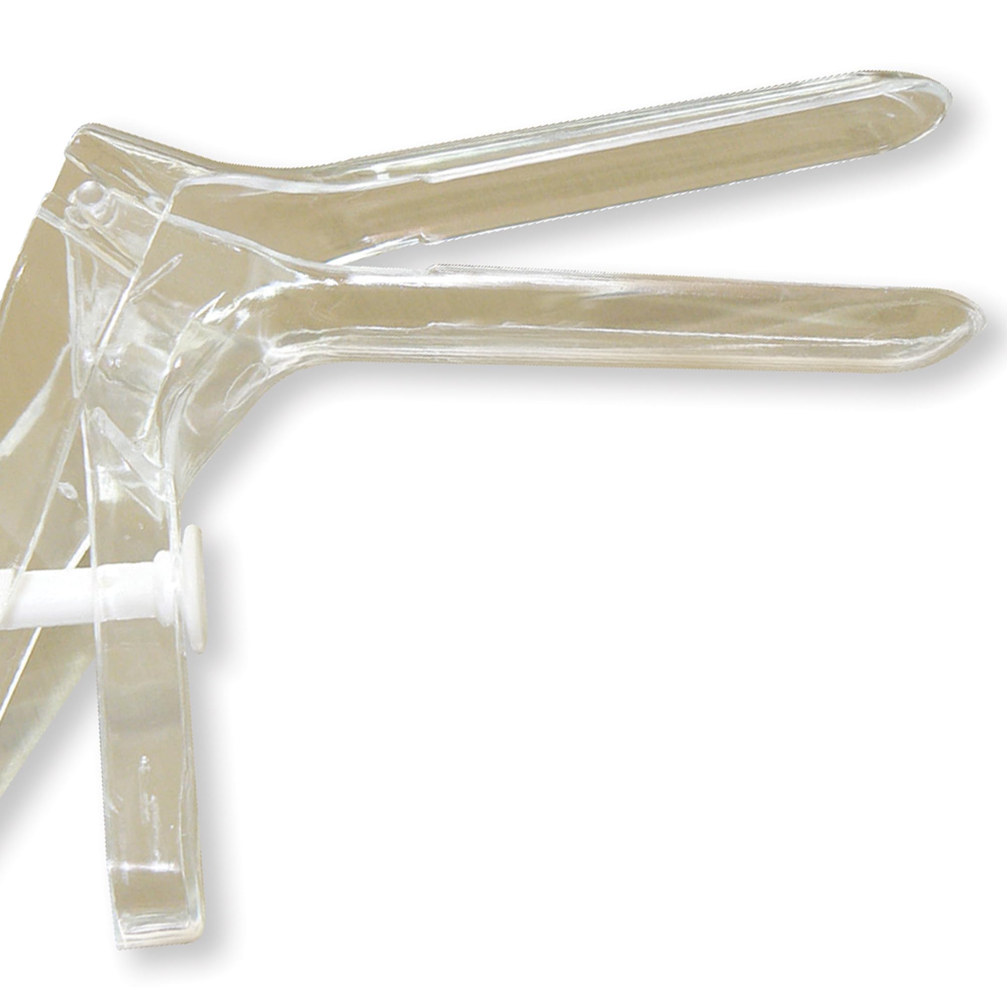 gima-29946-speculum-perno-sterile-piccolo-20-mm-confezione-1-pezzo image 5
