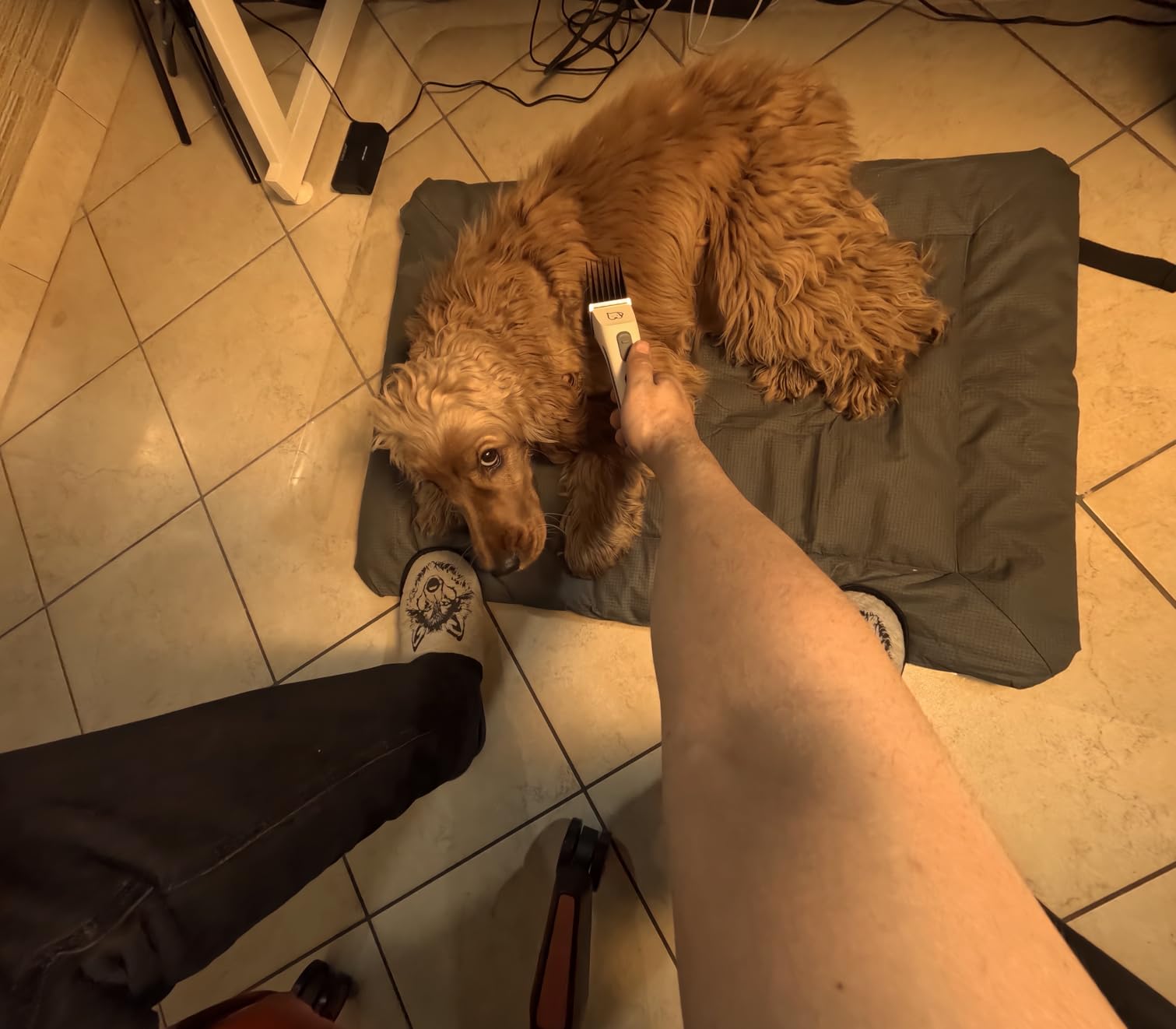 Si è rotta dopo poco