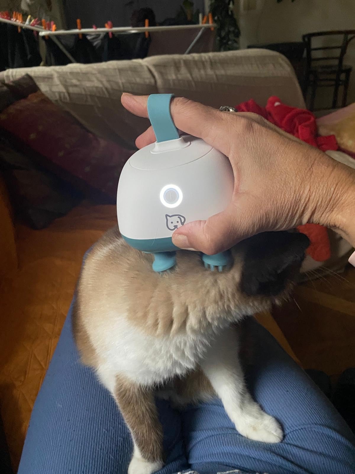 Buono, ma un po' fragile