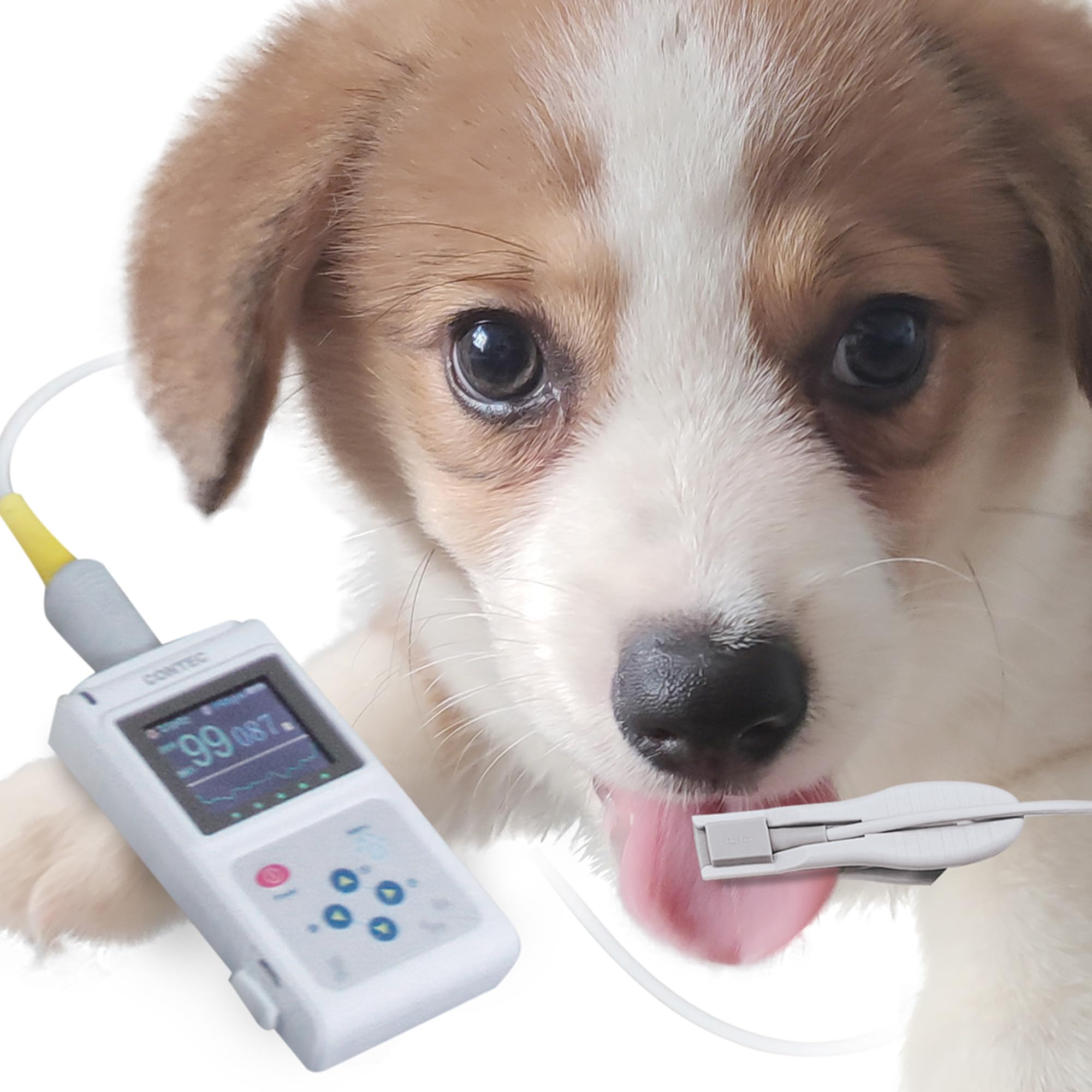 gima-oxy-50-pulsossimetro-veterinario-con-software-per-pc image 7