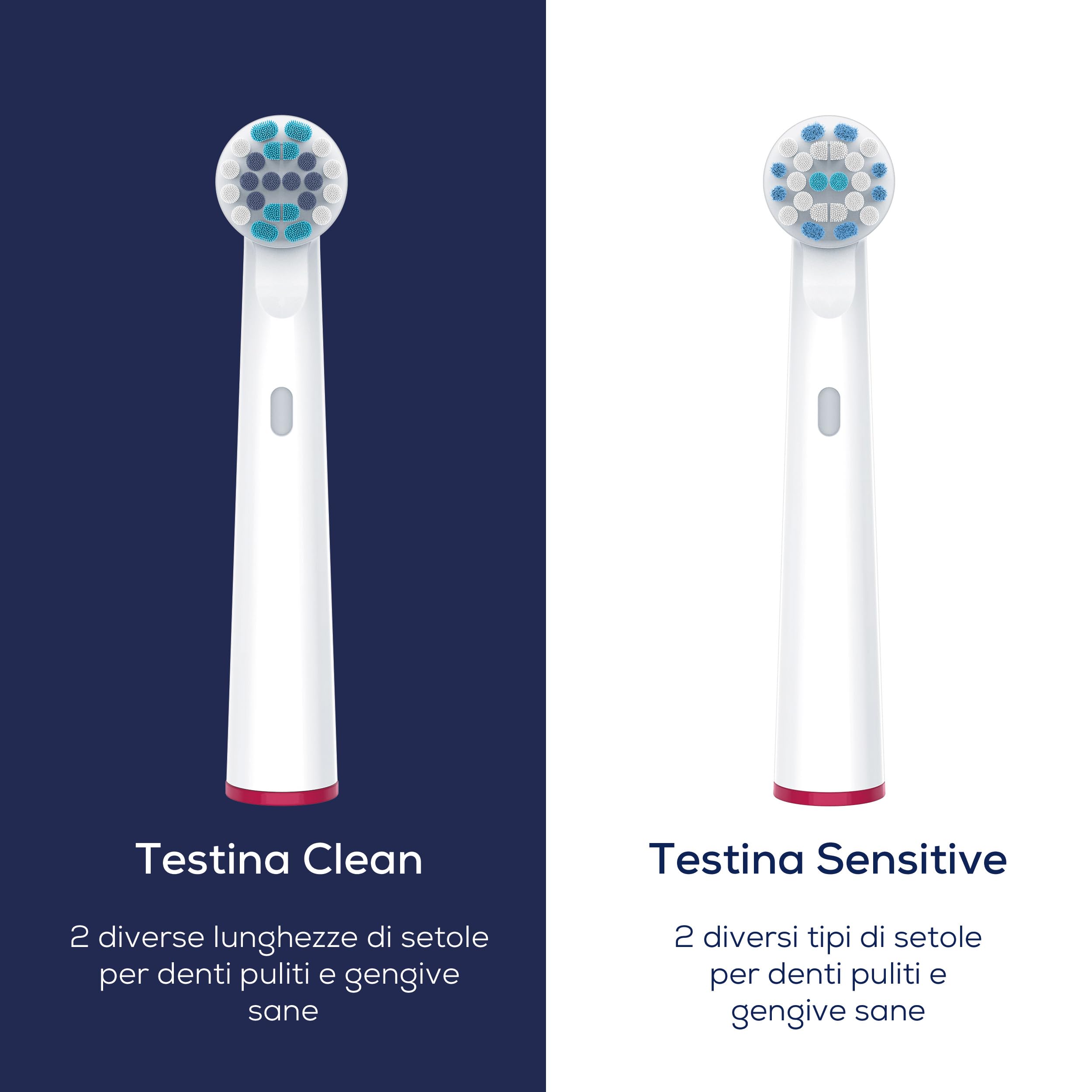 beurer-tb-50-spazzolino-elettrico-con-sensore-di-pressione-e-3-programmi image 8