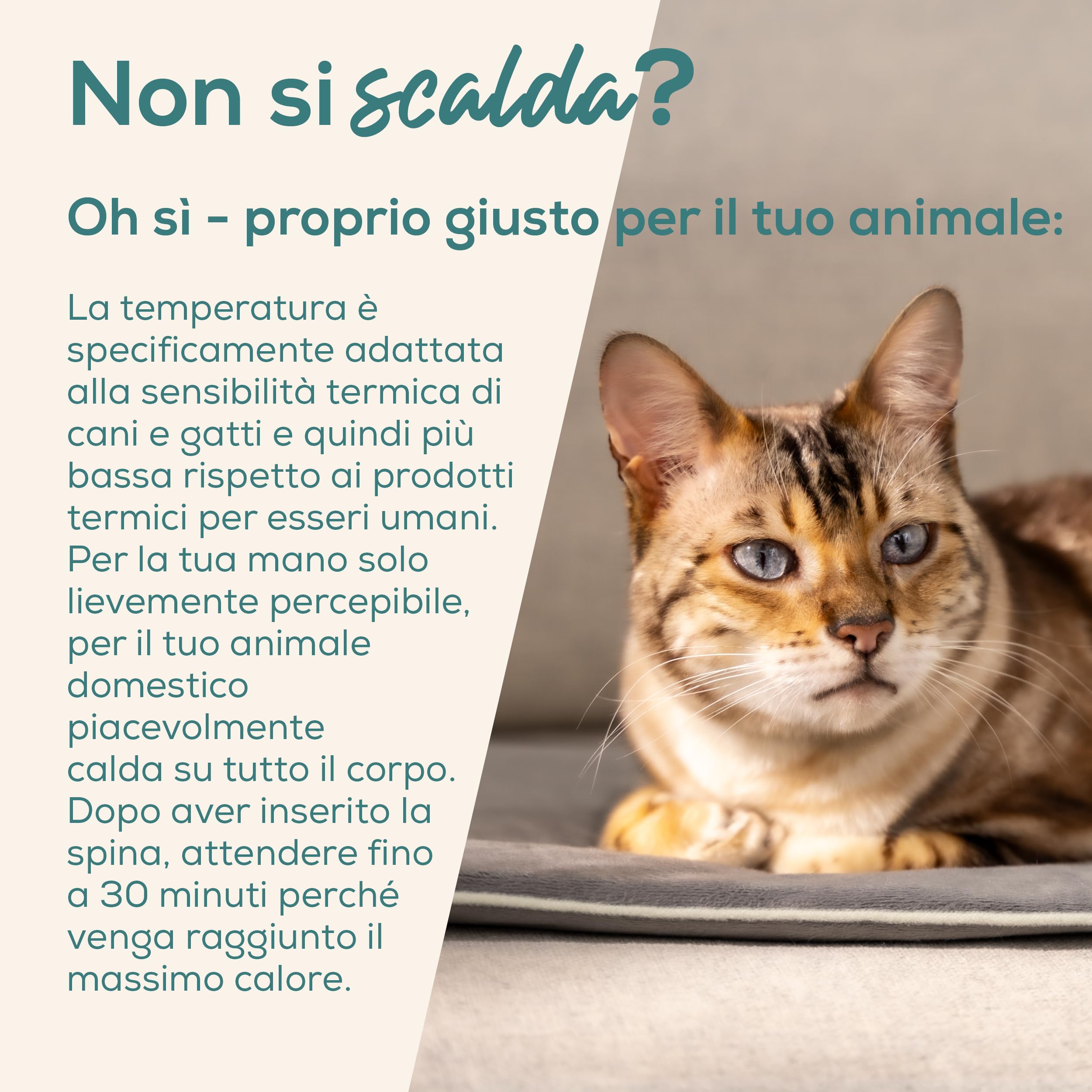 beurer-love-your-pet-tappetino-riscaldante-lilli-per-cani-e-gatti-taglia-s-41x34 image 2