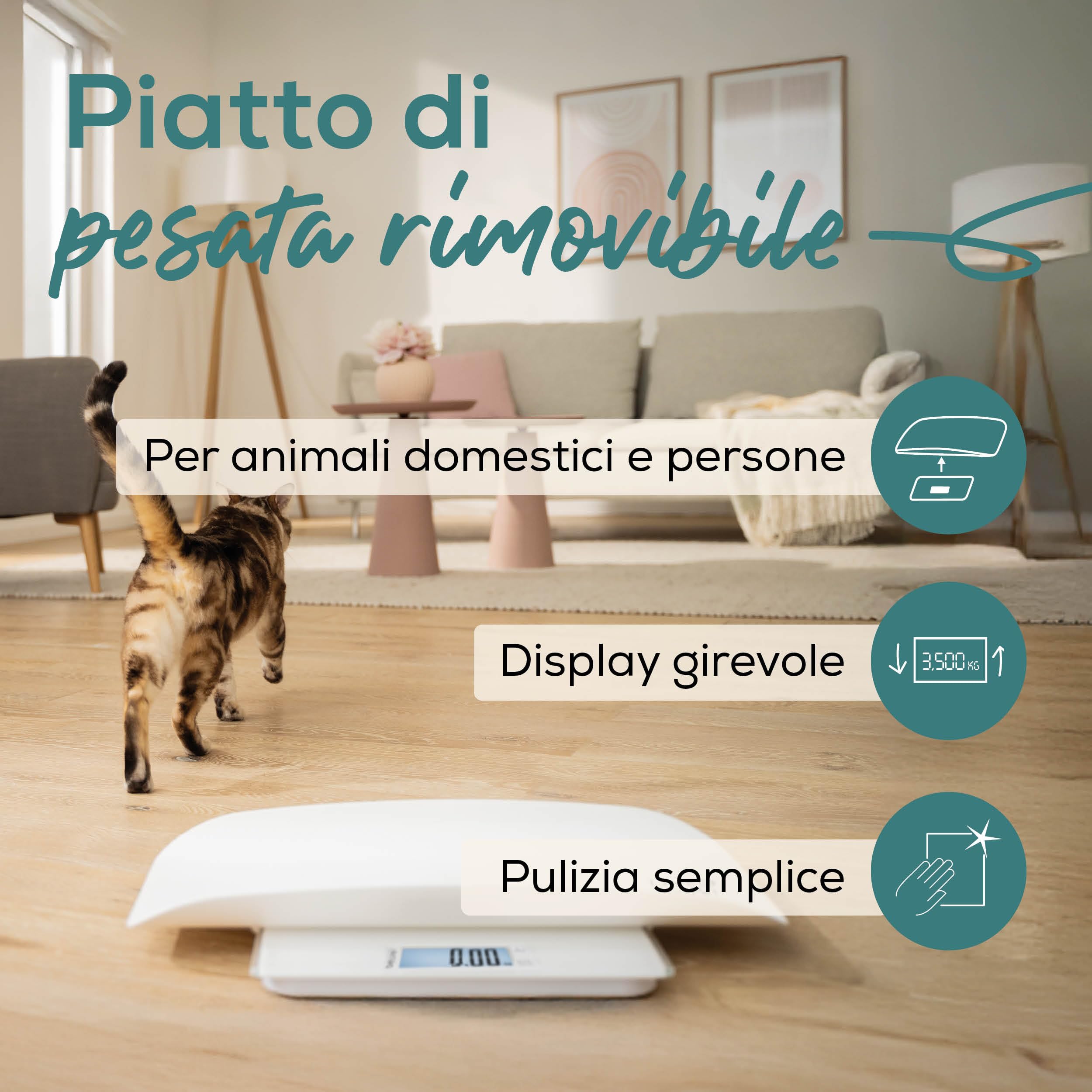 beurer-love-your-pet-bilancia-polly-per-animali-e-persone-piatto-rimovibile-funz image 3