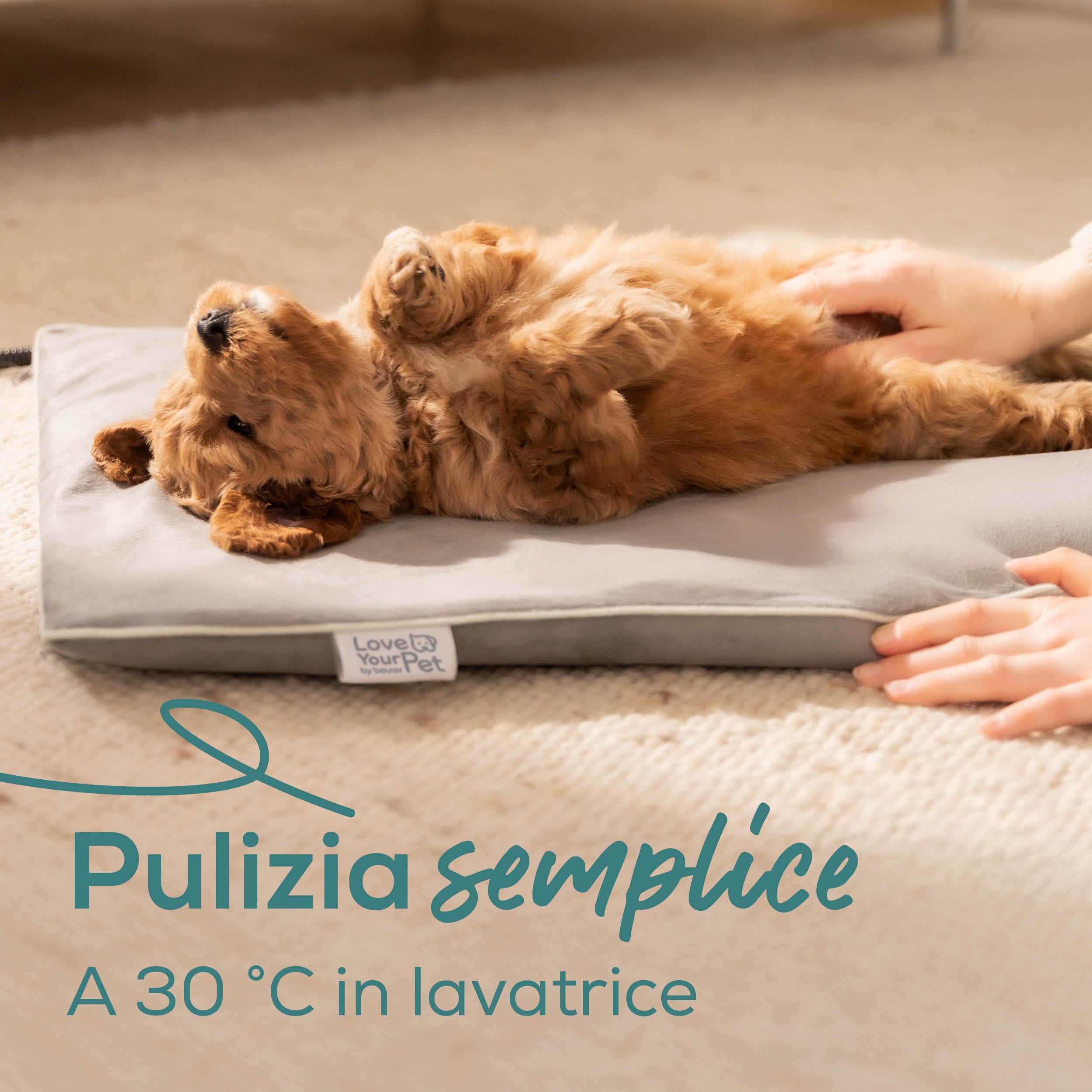 beurer-love-your-pet-tappetino-riscaldante-lilli-per-cani-e-gatti-taglia-s-41x34 image 3