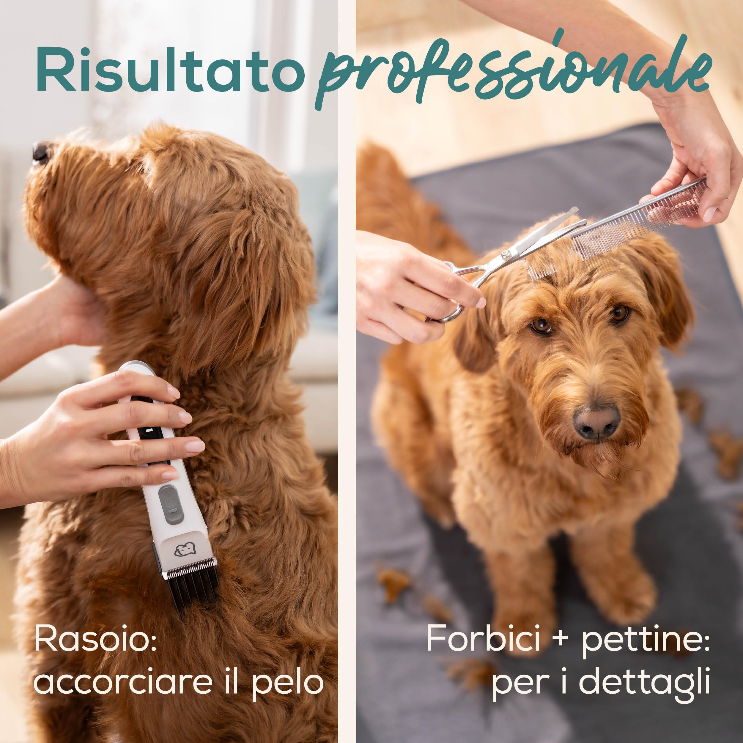 beurer-love-your-pet-tosatrice-fluffy-per-cani-e-gatti-set-da-9-pezzi-lama-in-ac image 6
