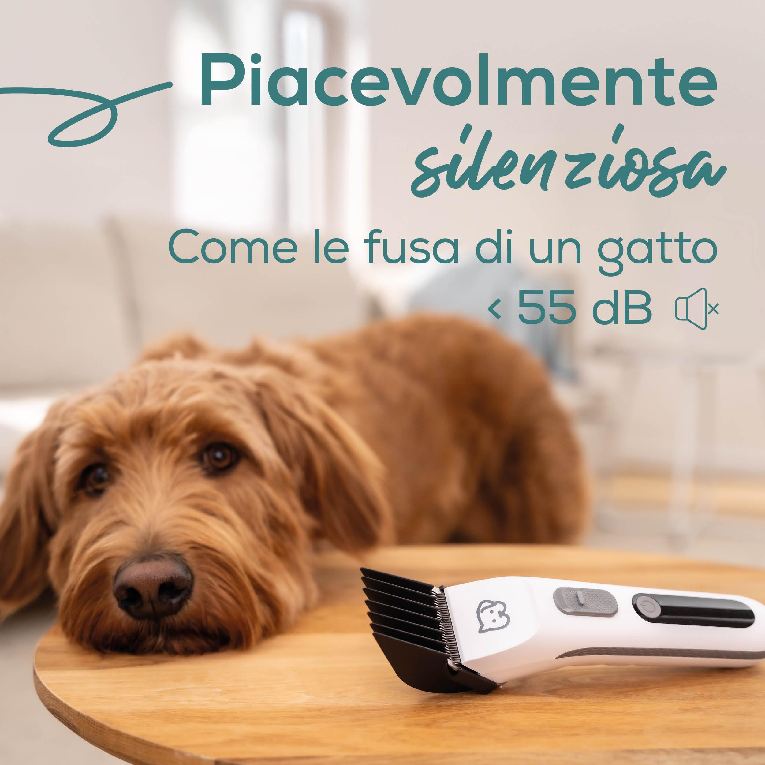beurer-love-your-pet-tosatrice-fluffy-per-cani-e-gatti-set-da-9-pezzi-lama-in-ac image 4