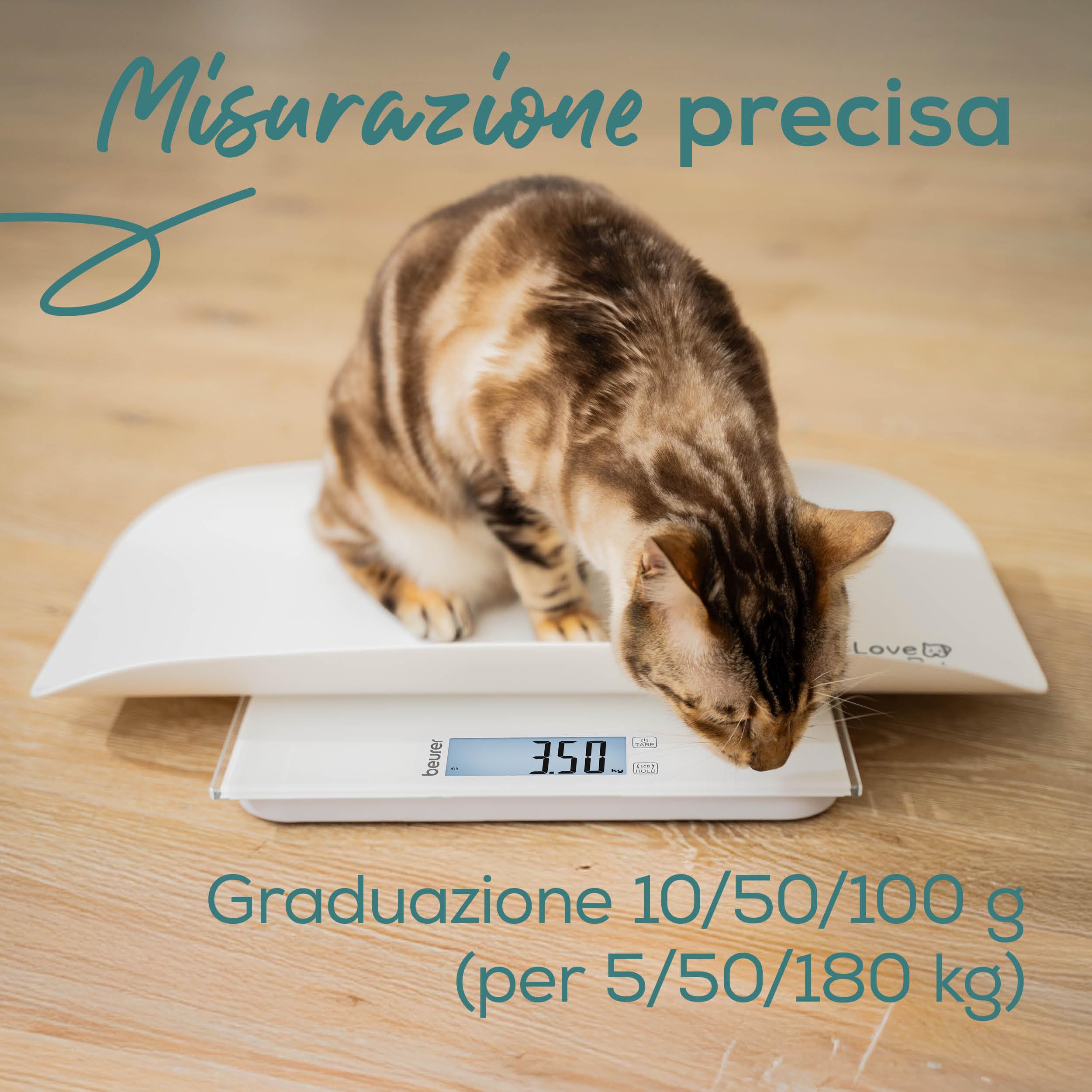 beurer-love-your-pet-bilancia-polly-per-animali-e-persone-piatto-rimovibile-funz image 4