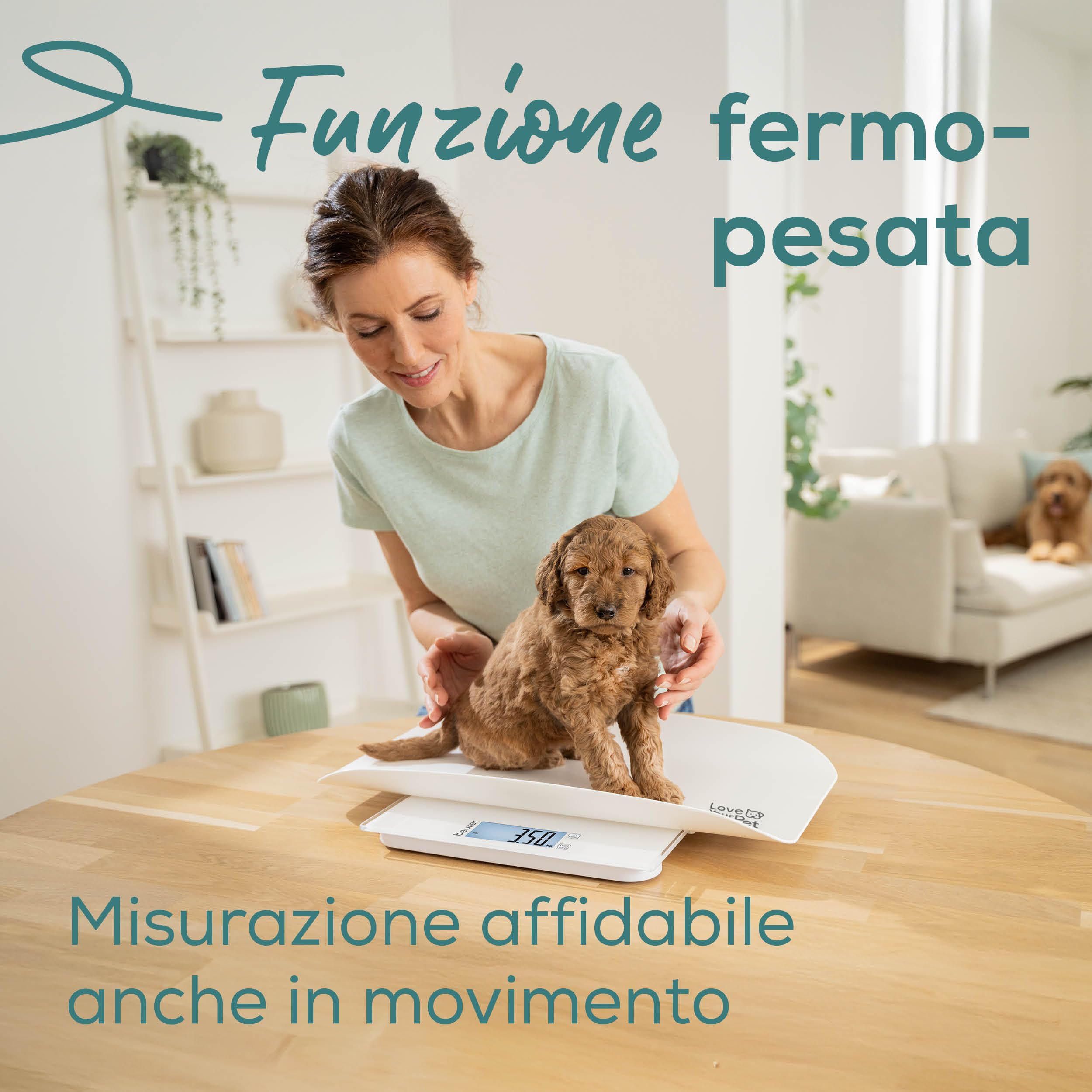 beurer-love-your-pet-bilancia-polly-per-animali-e-persone-piatto-rimovibile-funz image 5